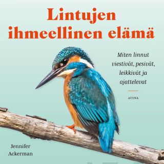 Lintujen ihmeellinen elämä Äänikirja